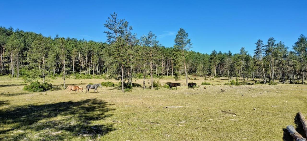 Rural Gancheros Xalet Tragacete