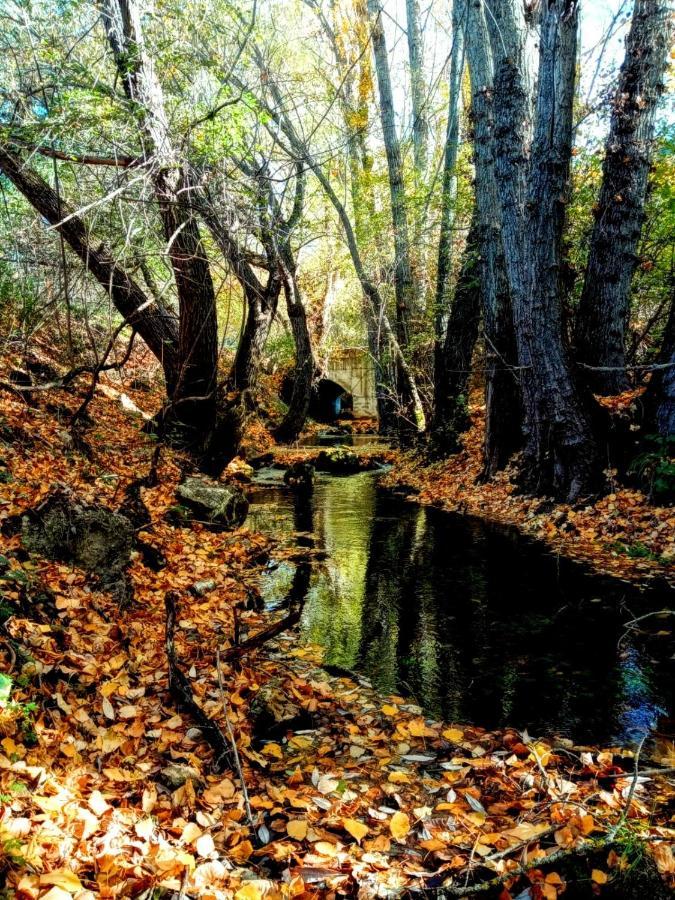 Xalet Rural Gancheros Tragacete
