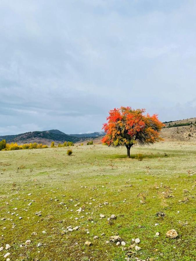 Rural Gancheros * Tragacete