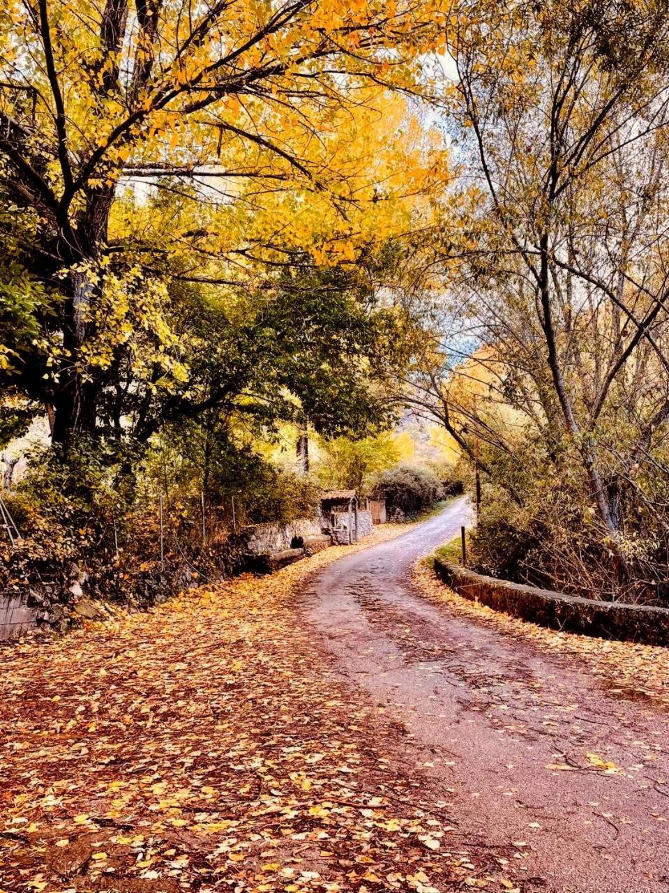 Xalet Rural Gancheros